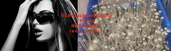 крисы Арсеньев
